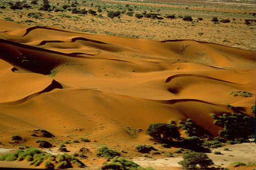 La Namibie : Du désert namibien aux chutes Victoria